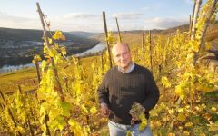 Selbach Johannes Selbach Winery Image