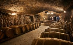 Martin Cendoya Winery Image