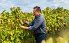 Alpha Estate Angelos Iatridis in the Vineyard Winery Image