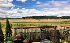 Rainstorm View From the Rainstorm Terrace Winery Image