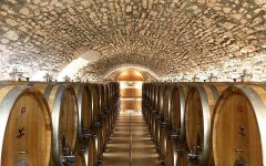Campagnola  Winery Image