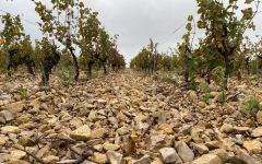 Chateau Haut-Blanville Winery Image