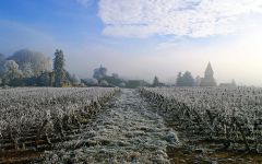 Domaine Pierre Gelin  Winery Image