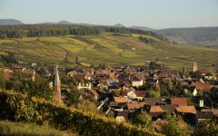 Lucien Albrecht Pfingstberg Winery Image