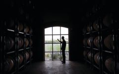 Kim Crawford Winemaker Anthony Walkenhorst Winery Image