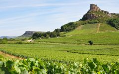Domaine Saumaize-Michelin Winery Image