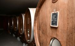 Giacomo Borgogno & Figli Winery Image