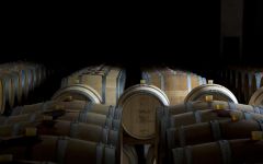 Braida Bricco dell Uccellone Barriques Winery Image
