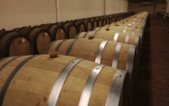 Christophe Cordier Barrel Cellar Winery Image