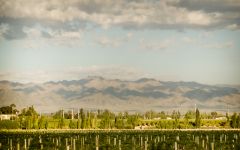 Argento View of the Andes from Argento Winery Image