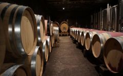 Domaine de la Solitude Winery Image