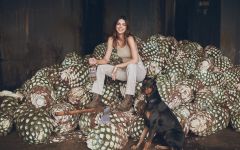 818 Tequila Winery Image