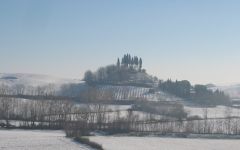 Carpineta Fontalpino Winery Image