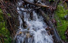 Great Women Spirits by Francis Ford Coppola Winery Image