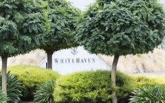 Whitehaven  Whitehaven Sign with trees Winery Image