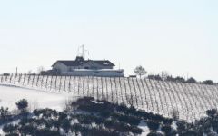 Monti Winery Image