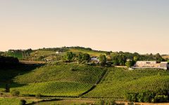 Fattoria La Valentina La Valentina Estate Winery Image