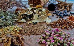 Berto Various Vermouth Herbs Winery Image