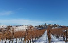 Boroli The Estate Blanketed by Snow Winery Image