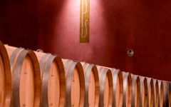 Siro Pacenti Winery Image