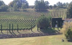 Chateau Bellevue Peycharneau Bellevue Peycharneau Hillside View Winery Image