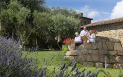 La Lecciaia Winery Image