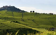 Beni di Batasiolo Brunate Winery Image