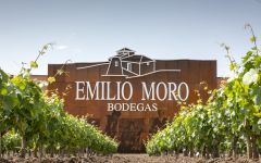 Bierzo Blanco 'La Revelia', Bodegas Emilio Moro 2019 – Wine Chateau