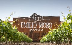 Emilio Moro New Bodega Winery Image