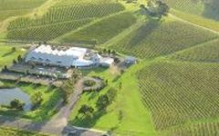 Lindeman’s Bin Series Winery Image