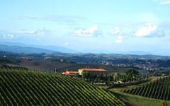 Poggio Basso Winery Image