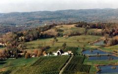 Millbrook Winery Image
