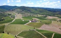 Viticcio The Hills of Chianti Winery Image