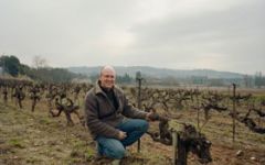 Domaine de Ferrand Winery Image