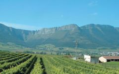 Xarmant Winery Image