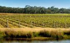 Yabby Lake Winery Image