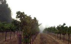 Ladera Winery Image