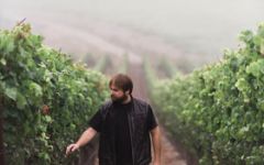 Samsara Winery Image