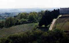 Nicolas Joly Winery Image