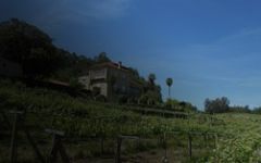 Lusco do Mino Winery Image