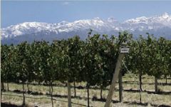Image of winery