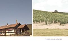 Carlin de Paolo Winery Image