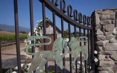 Acclaim ROAR Wines