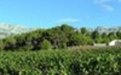 Sables d'Azur Winery Image