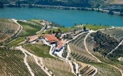 Image of winery
