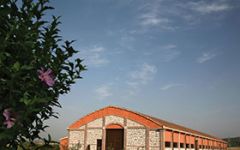 Corte dei Papi Winery Image