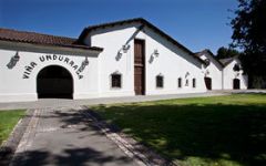 Undurraga Winery Image