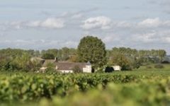 Chateau Bourgneuf Winery Image