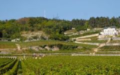 Image of winery