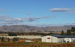 Tohu Winery Image